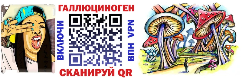 Купить закладки  Заинск  Псилоцибиновые грибы мухоморы 